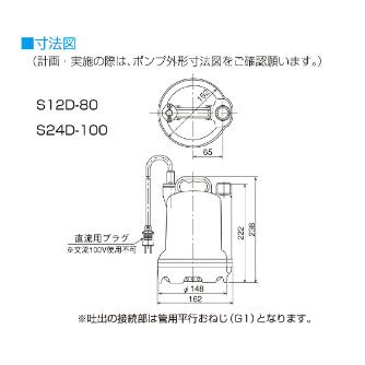 （株）寺田ポンプ製作所 バッテリー水中ポンプ S バッテリー水中ポンプ S12D-80