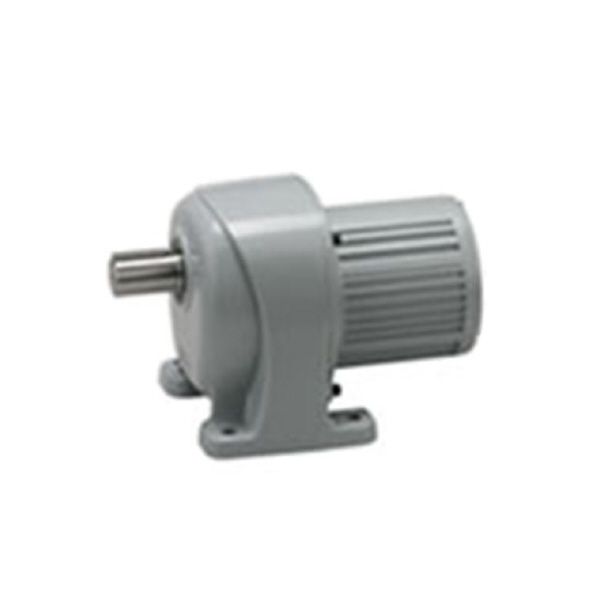 （株）ニッセイ IPMギアモータ 平行軸 G3F22N30 ＩＰＭギアモータ　平行軸 G3F22N30L-IPM020NT