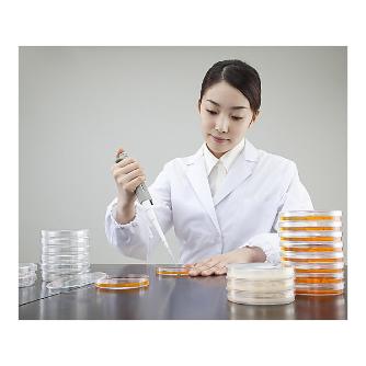 アズワン（株） アズノール滅菌シャーレ GD90－15 1-7484-01 アズノール滅菌シャーレ　ＧＤ９０－１５ 1-7484-01