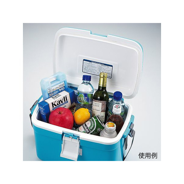 アズワン（株） クーラーBOX モンタナ 1-8730 クーラーＢＯＸ　モンタナ　１３ 1-8730-01