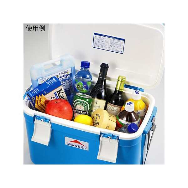 アズワン（株） クーラーBOX モンタナ 1-8730 クーラーＢＯＸ　モンタナ　２５ 1-8730-02