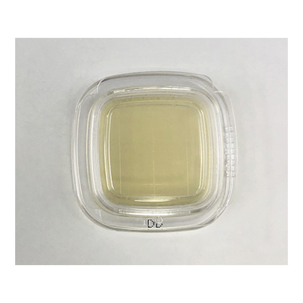 アズワン（株） 寒天 6-8778 ０４２００　ＤＤ寒天　２０枚×２ 6-8778-01