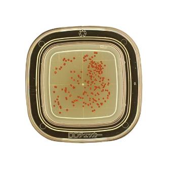 アズワン（株） 寒天 6-8778 ０４２００　ＤＤ寒天　２０枚×２ 6-8778-01