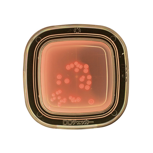 アズワン（株） 04210 デオキシコレート 20枚×2 6-8778-03 ０４２１０　デオキシコレート　２０枚×２ 6-8778-03