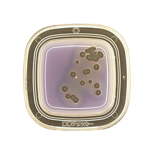 アズワン（株） 寒天 6-8778 ０４２７０　ＭＬＣＢ寒天　２０枚×２ 6-8778-11