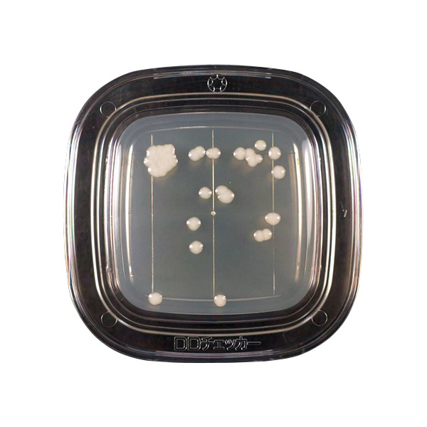 アズワン（株） 寒天 6-8778 ０４２９０　ＰＤ寒天　２０枚×２ 6-8778-13