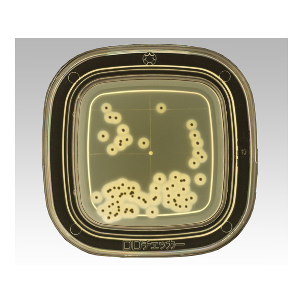 アズワン（株） 寒天 6-8778 ０４２５０　ＴＧＳＥ寒天　２０枚×２ 6-8778-25