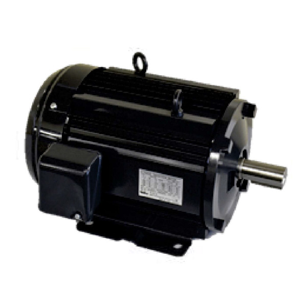 ニデックテクノモータ（株） マイティエコノモータ FEK マイティエコノモータ FEK-P 30KW 2P