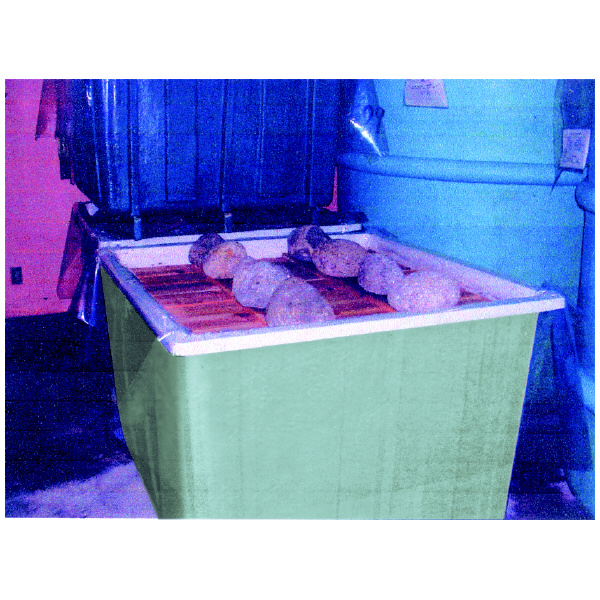 （株）カイスイマレン ジャンボタンク ジャンボタンク 910T