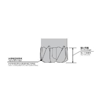 オーエスジー（株） 高硬度鋼用DUROREYコート多刃超硬ラジアスエンドミル高能率型 AE-CRE-H 高硬度鋼用超硬ラジアスエンドミル高能率型 AE-CRE-H 1XR0.2