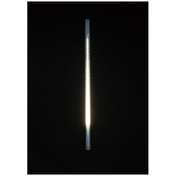 ジェフコム（株） LEDフォールSJX SJX-E09 ＬＥＤフォールＳＪＸ SJX-E09-81L