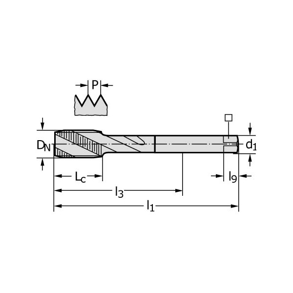 ワルタージャパン（株） HSSーE タップ(ショート) 20167 ＨＳＳ－Ｅ　タップ（ショート） 20167-M6