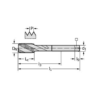 ワルタージャパン（株） HSSーE タップ(ショート) 20167 ＨＳＳ－Ｅ　タップ（ショート） 20167-M8