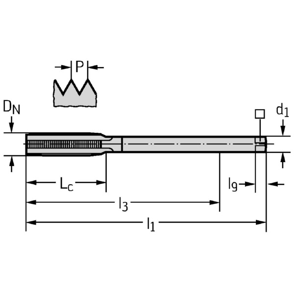 ワルタージャパン（株） HSSーE ナットタップ 20890 ＨＳＳ－Ｅ　ナットタップ 20890-M5