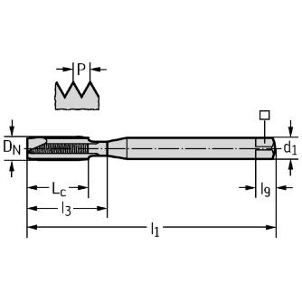 ワルタージャパン（株） HSSーEーPM マシンタップ 2121763 ＨＳＳ－Ｅ－ＰＭ　マシンタップ 2121763-M10X1