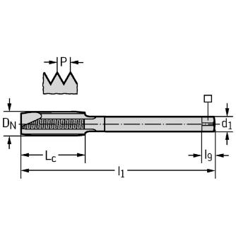 ワルタージャパン（株） HSSーEーPM マシンタップ 21266106 ＨＳＳ－Ｅ－ＰＭ　マシンタップ 21266106-M10X1.25