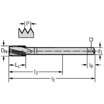 ワルタージャパン（株） HSSーEーPM マシンタップ 21466 ＨＳＳ－Ｅ－ＰＭ　マシンタップ 21466-M10X1