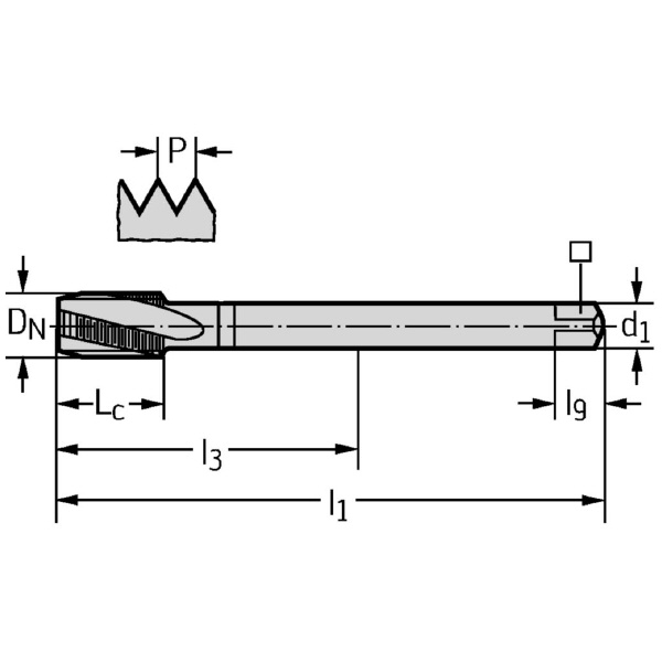 ワルタージャパン（株） HSSーEーPM マシンタップ 22466 ＨＳＳ－Ｅ－ＰＭ　マシンタップ 22466-UNC5/8