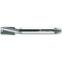 ワルタージャパン（株） HSSーE マシンタップ 23450