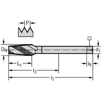 ワルタージャパン（株） HSSーE マシンタップ 2556702 ＨＳＳ－Ｅ　マシンタップ 2556702-NPT1/4