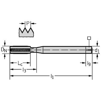 ワルタージャパン（株） HSSーEーPM マシンタップ E2031436 ＨＳＳ－Ｅ－ＰＭ　マシンタップ E2031436-M8