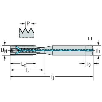 ワルタージャパン（株） HSSーEーPM マシンタップ E2031446 ＨＳＳ－Ｅ－ＰＭ　マシンタップ E2031446-M6