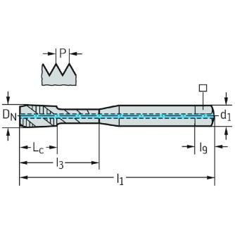 ワルタージャパン（株） HSSーEーPM マシンタップ EP2051312 ＨＳＳ－Ｅ－ＰＭ　マシンタップ EP2051312-M10