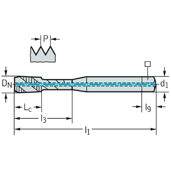 ワルタージャパン（株） HSSーEーPM マシンタップ EP2051312 ＨＳＳ－Ｅ－ＰＭ　マシンタップ EP2051312-M5