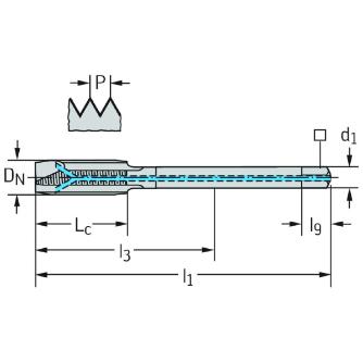 ワルタージャパン（株） HSSーEーPM マシンタップ EP2126342 ＨＳＳ－Ｅ－ＰＭ　マシンタップ EP2126342-M8X1