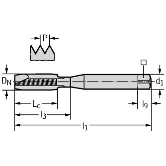 ワルタージャパン（株） HSSーE マシンタップ M20213 ＨＳＳ－Ｅ　マシンタップ M20213-M6