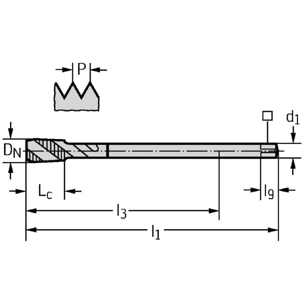 ワルタージャパン（株） HSSーE マシンタップ M2056332 ＨＳＳ－Ｅ　マシンタップ M2056332-M20