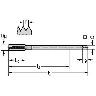 ワルタージャパン（株） HSSーE マシンタップ P203603 ＨＳＳ－Ｅ　マシンタップ P203603-M14