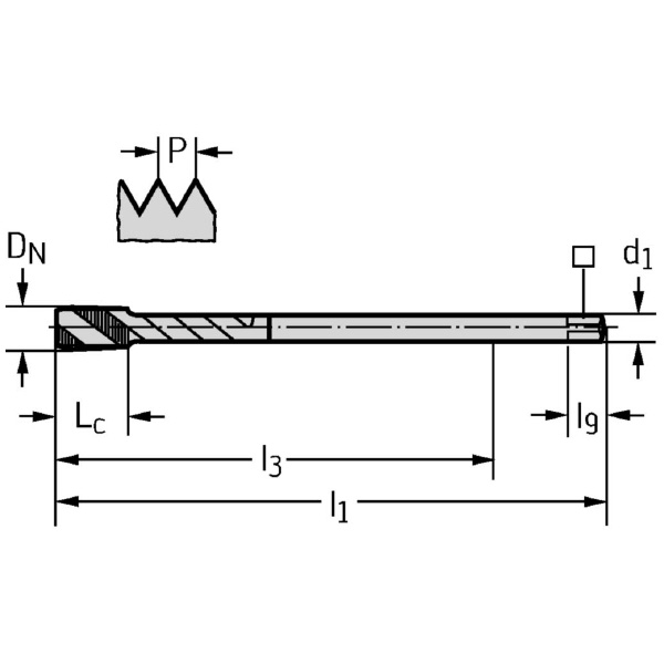 ワルタージャパン（株） HSSーE マシンタップ P205683 ＨＳＳ－Ｅ　マシンタップ P205683-M14