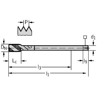 ワルタージャパン（株） HSSーE マシンタップ P2056935 ＨＳＳ－Ｅ　マシンタップ P2056935-M20