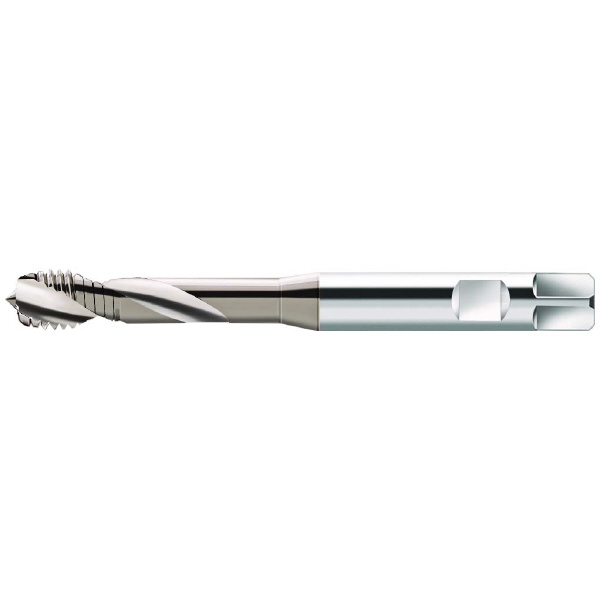 ワルタージャパン（株） HSSーE マシンタップ S2051604 ＨＳＳ－Ｅ　マシンタップ S2051604-M10