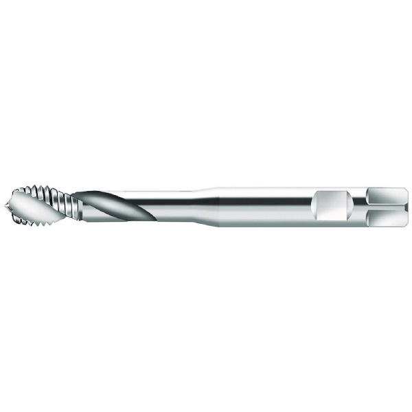 ワルタージャパン（株） HSSーE マシンタップ S20516 ＨＳＳ－Ｅ　マシンタップ S20516-M6