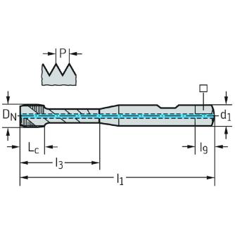 ワルタージャパン（株） HSSーE マシンタップ S2056312 ＨＳＳ－Ｅ　マシンタップ S2056312-M14