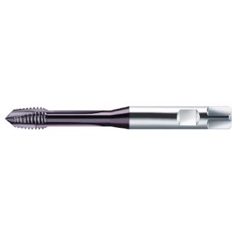 ワルタージャパン（株） HSSーE マシンタップ S2126302 ＨＳＳ－Ｅ　マシンタップ S2126302-M8X1