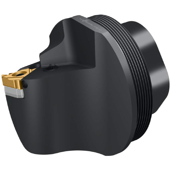 ワルタージャパン（株） 交換式ヘッド めねじ T1820-Q 交換式ヘッド　めねじ T1820-Q50L-16I-P