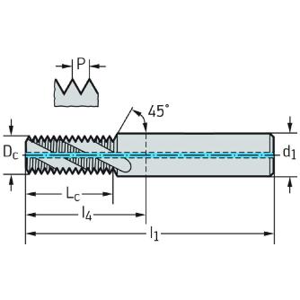 ワルタージャパン（株） 超硬ねじ切りカッター H5055016 超硬ねじ切りカッター H5055016-M14