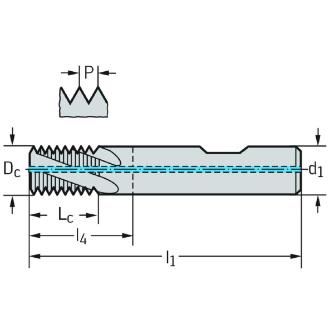 ワルタージャパン（株） 超硬ねじ切りカッター TC610 超硬ねじ切りカッター TC610-M10-W1-WJ30RC