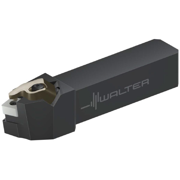 ワルタージャパン（株） シャンク工具 リジットクランプ DSBNL シャンク工具　リジットクランプ DSBNL2525X12-P