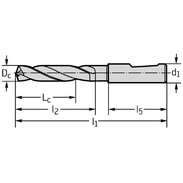 ワルタージャパン（株） 内部クーラント仕様超硬ドリル DC160-05 内部クーラント仕様超硬ドリル DC160-05-03.300F0-WJ30ET