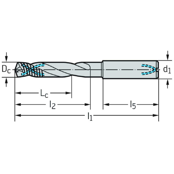 ワルタージャパン（株） 内部クーラント仕様超硬ドリル DC170-12 内部クーラント仕様超硬ドリル DC170-12-03.600A1-WJ30EJ