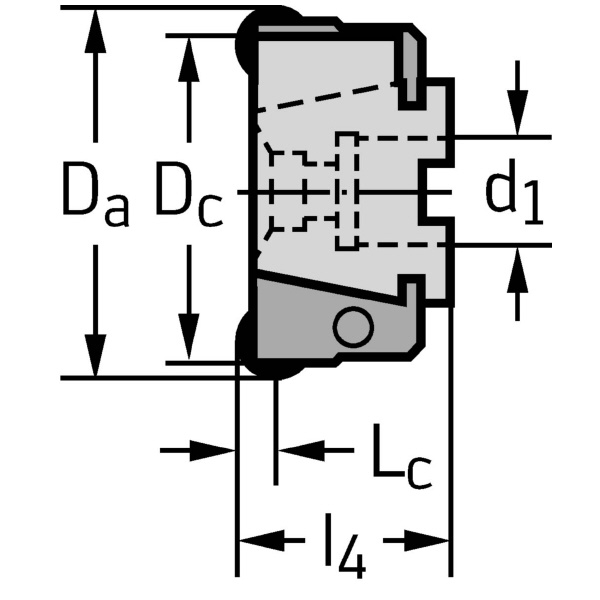 ワルタージャパン（株） カートリッジ付きミーリングカッター F2010 カートリッジ付きミーリングカッター F2010.B.080.Z06.08.R723M