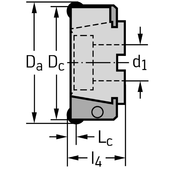 ワルタージャパン（株） カートリッジ付きミーリングカッター F2010 カートリッジ付きミーリングカッター F2010.B.100.Z07.08.R723M