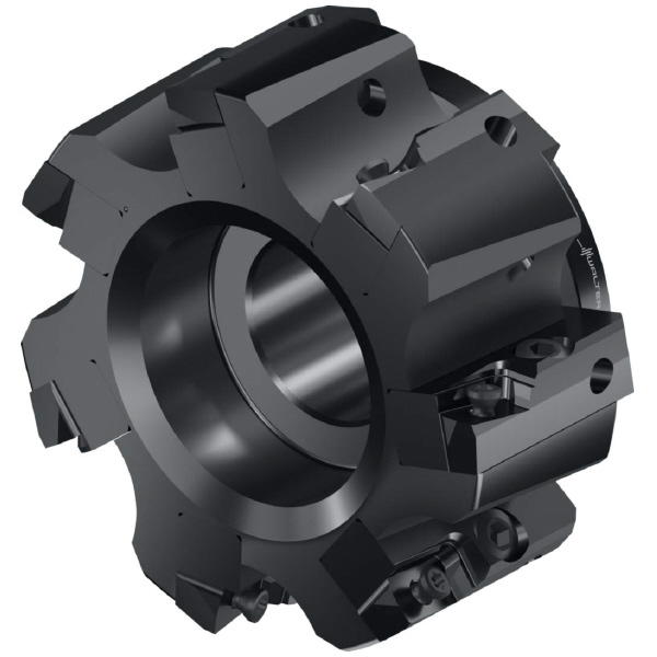 ワルタージャパン（株） カートリッジ付きミーリングカッター F2010 カートリッジ付きミーリングカッター F2010.B.100.Z07.11.R764M