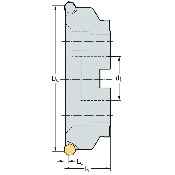 ワルタージャパン（株） ミーリングカッター F4045 ミーリングカッター F4045.B40.160.Z20.06