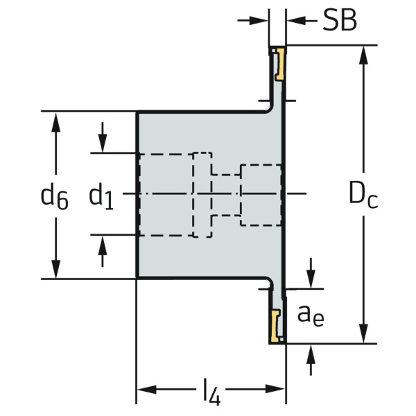 ワルタージャパン（株） ミーリングカッター F4053 ミーリングカッター F4053.BN27.100.Z05.04R
