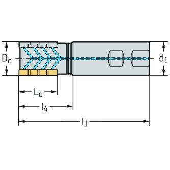 ワルタージャパン（株） ミーリングカッター F5038 ミーリングカッター F5038.W25.025.Z02.32